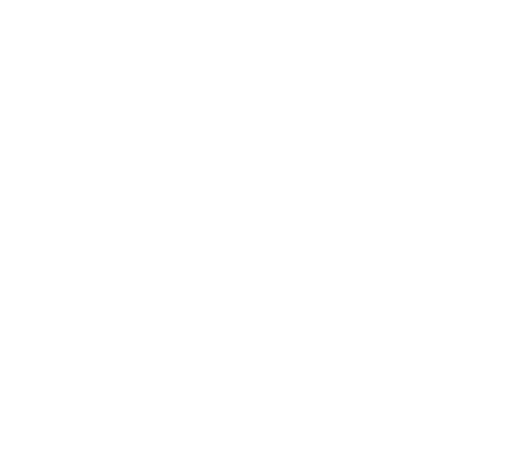 Touript logo