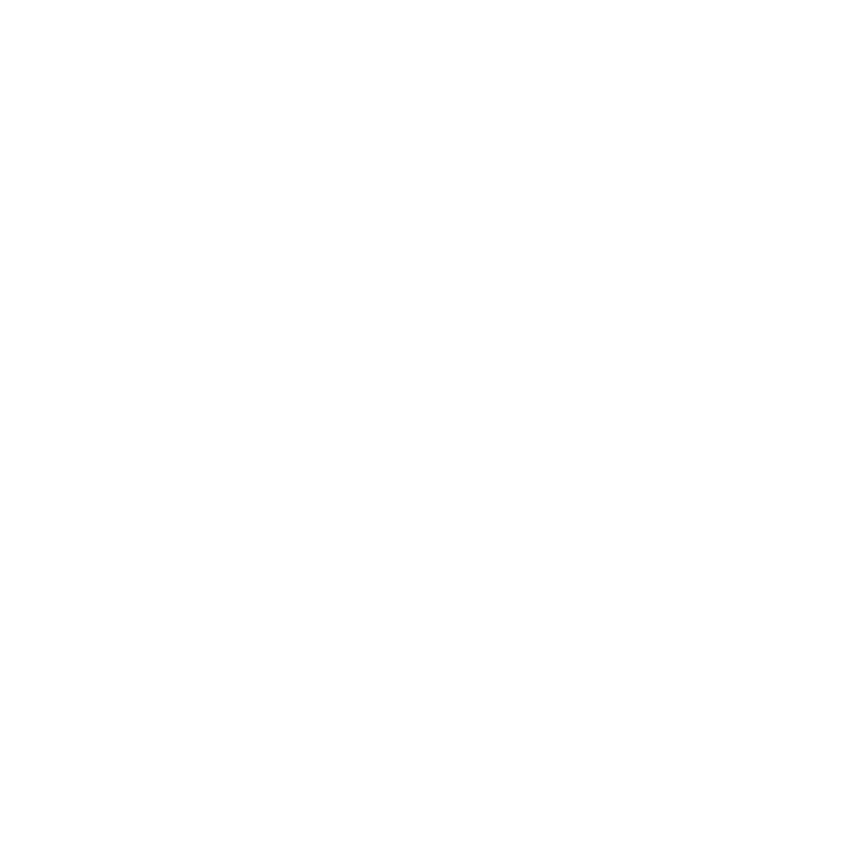Touript logo